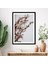 Kahverengi Otlar 6 Çerçeve ve Poster - B1219 4