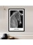 Zebra 8 Çerçeve ve Poster - H1054 3