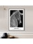 Zebra 8 Çerçeve ve Poster - H1054 4