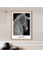 Zebra 8 Çerçeve ve Poster - H1054 5
