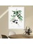 Zeytin Dalı 2 Çerçeve ve Poster - MT1075 2