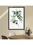 Zeytin Dalı 2 Çerçeve ve Poster - MT1075 3