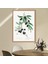 Zeytin Dalı 2 Çerçeve ve Poster - MT1075 4