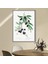 Zeytin Dalı 2 Çerçeve ve Poster - MT1075 5