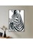 Zebra 1 Çerçeve ve Poster - H1047 3