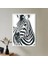 Zebra 1 Çerçeve ve Poster - H1047 1