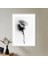Tek Gül 4 Çerçeve ve Poster - SB1060 2