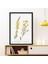 Cytisus Bitkisi 1 Çerçeve ve Poster - MT1098 2