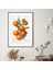Mandalina 3 Çerçeve ve Poster - MT1102 5