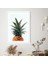 Ananas 5 Çerçeve ve Poster - MT1034 2