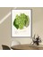 Yeşil Üzümler 1 Çerçeve ve Poster - MT1103 3