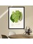 Yeşil Üzümler 1 Çerçeve ve Poster - MT1103 4