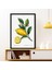 Limon 2 Çerçeve ve Poster - MT1073 2