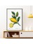 Limon 2 Çerçeve ve Poster - MT1073 4