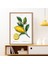 Limon 2 Çerçeve ve Poster - MT1073 5
