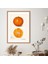 Mandalina 2 Çerçeve ve Poster - MT1100 3