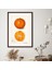 Mandalina 2 Çerçeve ve Poster - MT1100 4
