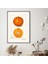 Mandalina 2 Çerçeve ve Poster - MT1100 5