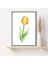 Sarı Lale 1 Çerçeve ve Poster - IL1041 4
