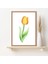 Sarı Lale 1 Çerçeve ve Poster - IL1041 5