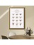 Kahve Çeşitleri 1 Çerçeve ve Poster - MT1063 3