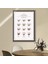 Kahve Çeşitleri 1 Çerçeve ve Poster - MT1063 4