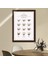 Kahve Çeşitleri 1 Çerçeve ve Poster - MT1063 5