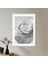 Tek Gül 2 Çerçeve ve Poster - SB1056 2