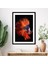Turuncu Balık 1 Çerçeve ve Poster - H1018 3