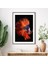 Turuncu Balık 1 Çerçeve ve Poster - H1018 5