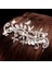 Stil 30 Blıjery Trendy Gelin Saç Aksesuarları Gümüş Renk Rhinestone Kristal Gelinler Tiara Çiçek Düğün Saç Tarakları Kadın Saç Takı (Yurt Dışından) 4
