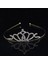 5 Altın Carddoor Moda Altın Prenses Tiara Inci Taklidi Tiaras ve Taçlar Düğün Saç Aksesuarları Doğum Günü Gelin Saç Süsleri (Yurt Dışından) 1