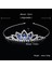 HG507 Gümüş Kırmızı Düğün Taç Gelin Şapkalar Prenses Kız Kadın Rhinestones Kristal Tiaras Altın Gelin Parti Taçlar Düğün Saç Aksesuarları (Yurt Dışından) 3