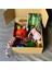 Peluş Oyuncak X2 + Çekiştirme Ipi + Sesli Top + Kemirme Oyuncağı + Yaş Mama + Dog Sticks + Sütlü Kemik Köpek Seti 3