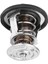 Motor Termostatı Chevrolet Express Sierra Gmc 5.3L 6.0L Cadillac Için Fit 131160 89018168 Değiştirin (Yurt Dışından) 4