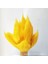 Dragon Ball Maymun Kral Cosplay Çocuk Performansı Dış Ticaret Peruk Japon Anime Çünkü Lotus Kafa Çocuk Peruk (Yurt Dışından) 1