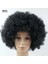 Fabrika Doğrudan Satış Afro Peruk Maskeli Balo Giydirme Hayranları Saç Komik Palyaço Renkli Peruk (Yurt Dışından) 2