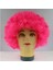 Fabrika Doğrudan Satış Afro Peruk Maskeli Balo Giydirme Hayranları Saç Komik Palyaço Renkli Peruk (Yurt Dışından) 4