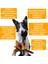 Gitar ve Mikrofon Köpek Oyuncağı 5