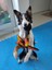Gitar ve Mikrofon Köpek Oyuncağı 6