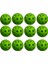 12'li 40 Delikli Pickleball Top Seti 1