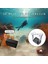 SJ10 PRO 4K60 FPS 20MP 5GHz WiFi UHD 8X Dijital Zoom 150° FPV Geniş Açı 2.33” Geniş Ekran Canlı Yayın 240FPS Ağır Çekim 6 Eksenli Jiroskop EIS H.265 1300mAh Batarya Aksiyon Kamerası Mavi 4