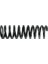 996069 Helezon Yay Arka 318MM 190 W201 85-92 A2013242504 1