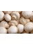Kültür Mantarı Deneme Kiti 12 -13 kg Full Paket 5
