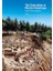 The Chalcolithic At Mersin Yumuktepe. Level XVI Reconsidered 1