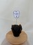 Ilk Diş Cupcake Bayrak / “my First Tooth” 6’lı 3