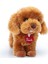 Peluş Toy Poddle Oliver Köpek 20 cm 2