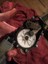 Volvo Ön Cam Silecek Motorunun Dişlisi T2149881 2