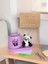 Panda Not - Fotoğraf Tutuculu Kalemlik Saksı Seti 1