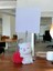 Kırmızı Yumak Tutan Oturan Kawaii Kedi Temalı Not Tutacağı Fotoğraf Tutacak Tutucu Ofis Hediyelik 2